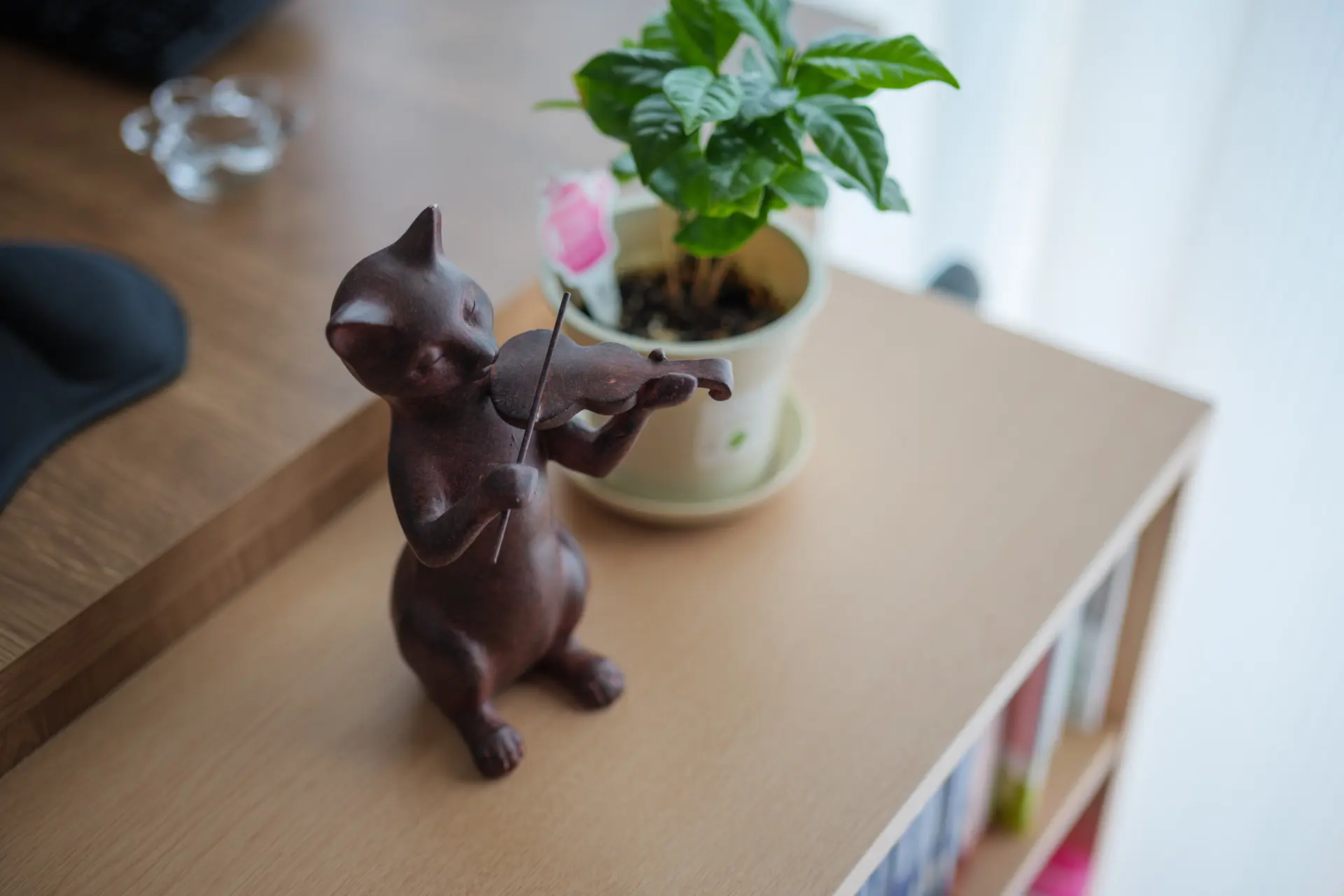 LUMIX S5II + LUMIX S 50mm F1.8 , 1/80 , F1.8 , ISO100 , 人物　室内撮影テスト