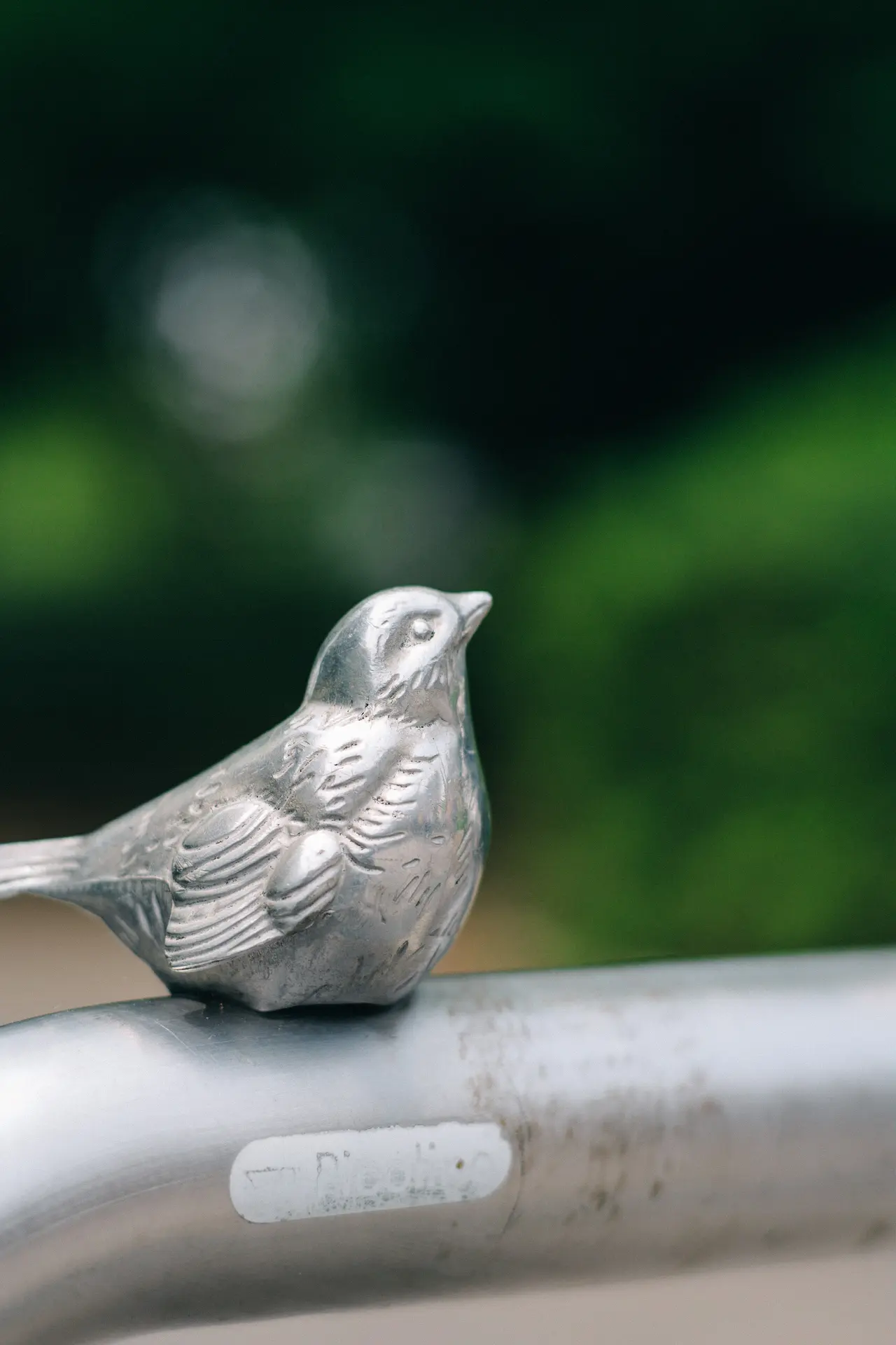 LUMIX S5II + Planar T* 85mm F1.4 ZF + SHOTEN LM-LSL M