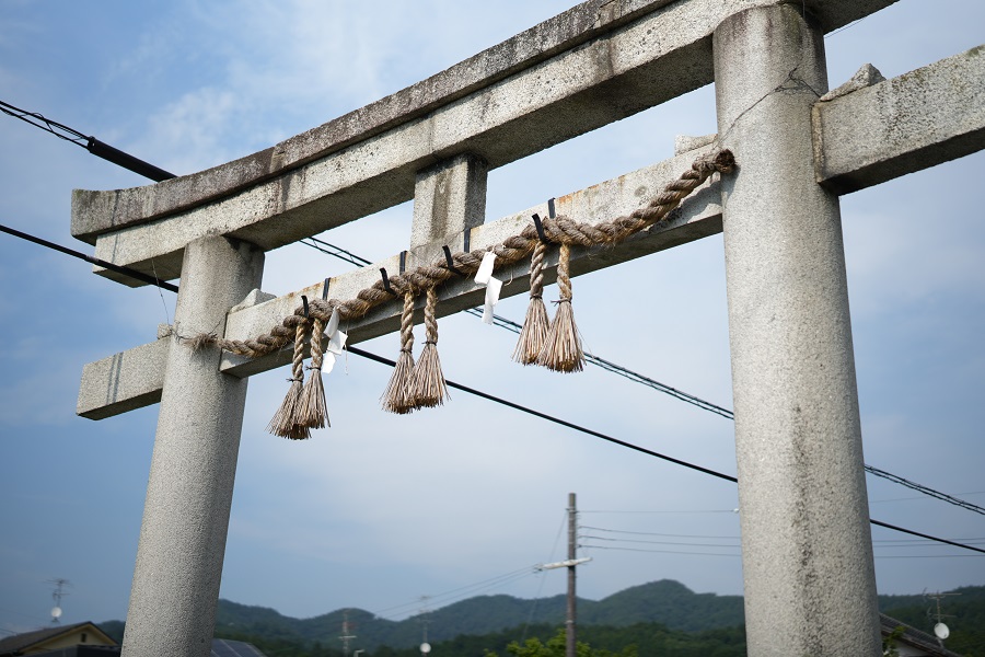 SIGMA 50mm F1.4 DG DN | Art【激烈に推せる1本】