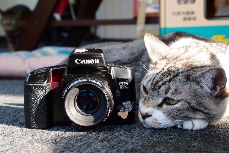 全商品オープニング価格！ EOS Canon X7 一眼レフカメラ まとめ