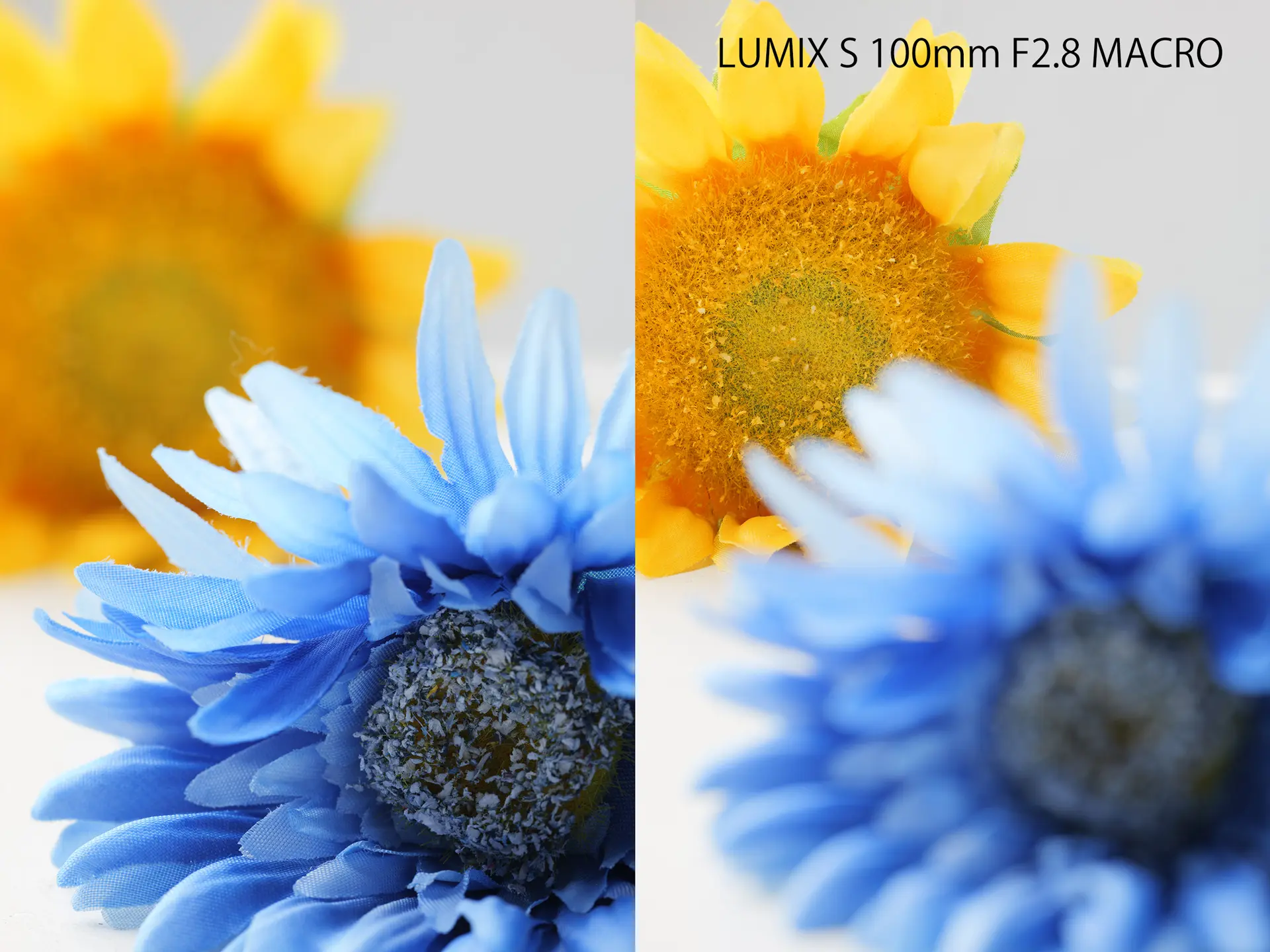 LUMIX S 100mm F2.8 MACROのフォーカスブリージング