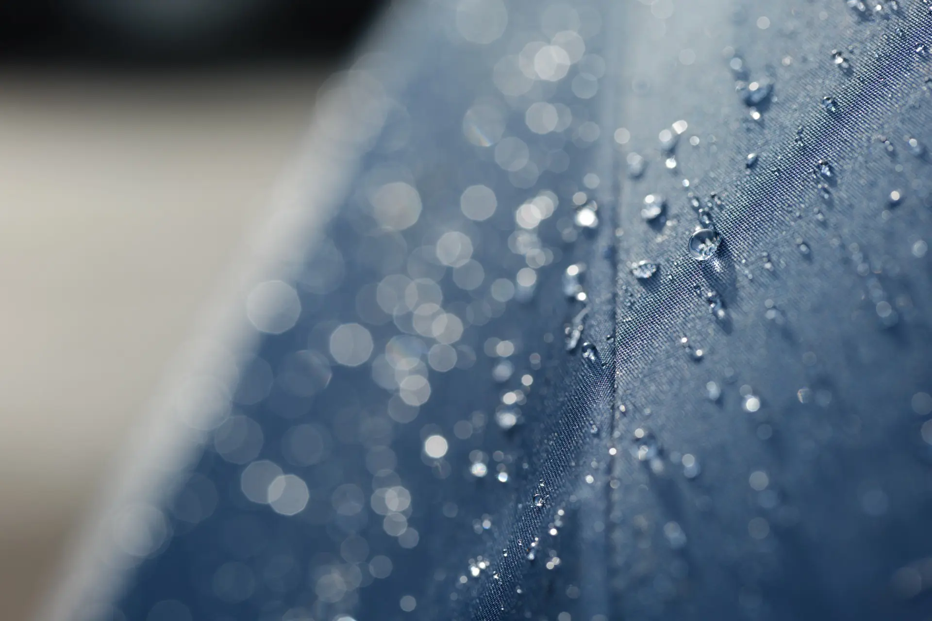 LUMIX S 100mm F2.8 MACRO　水滴が綺麗