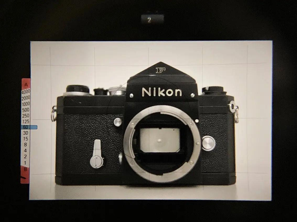 本当はフィルムカメラ初心者にオススメしたい一眼レフ】Nikon