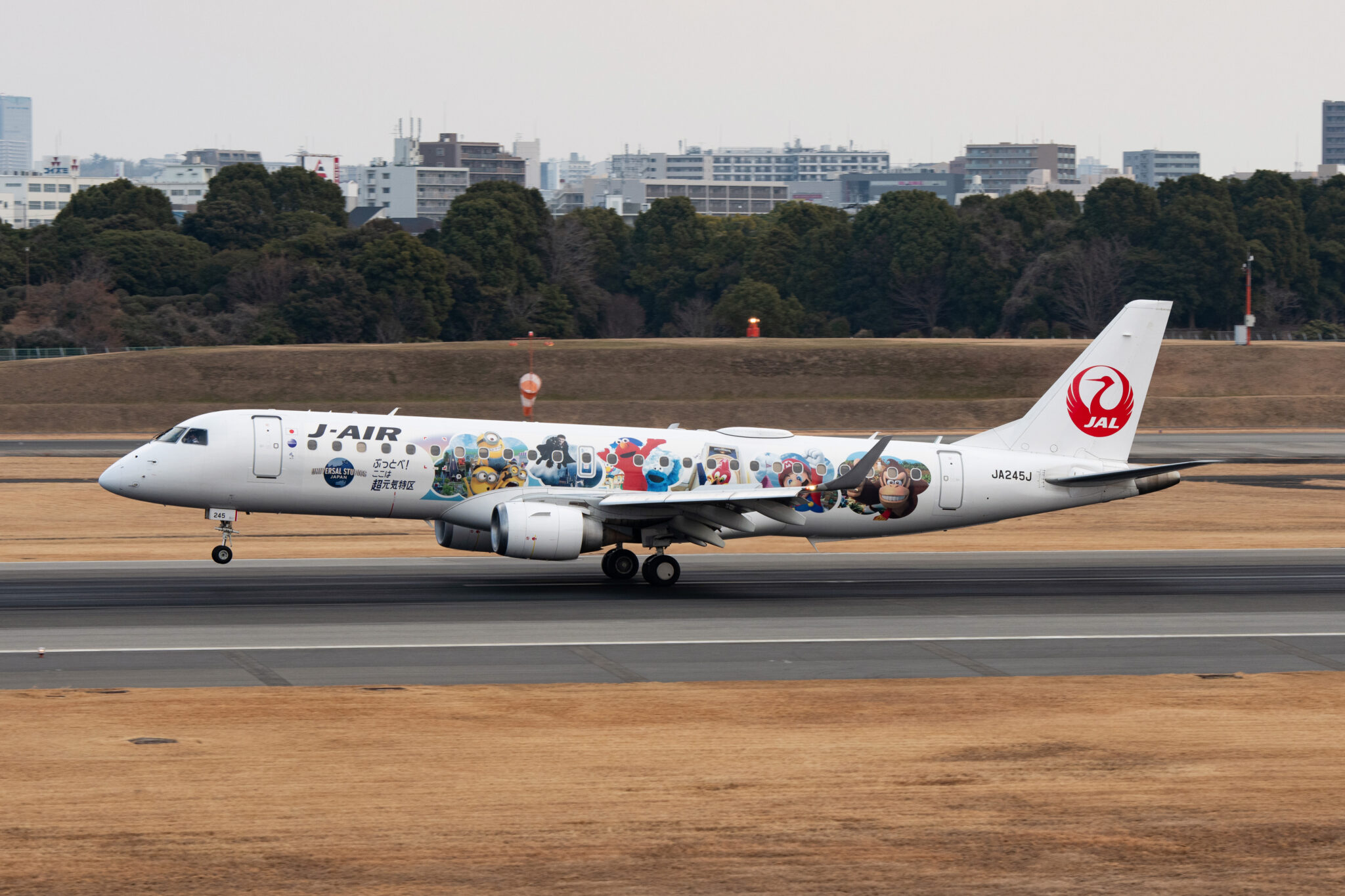 スカイランドHARADAから撮った飛行機