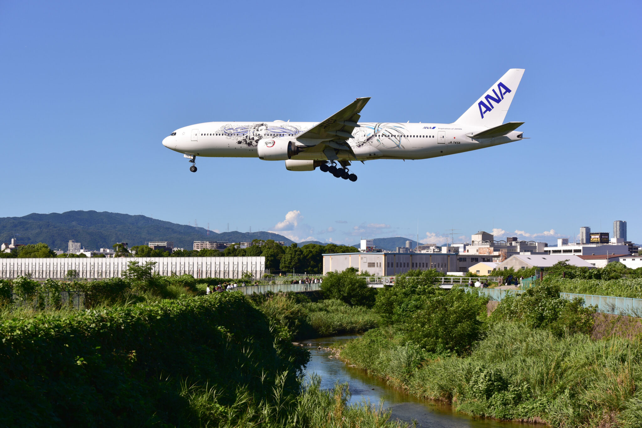 千里川土手で撮った飛行機