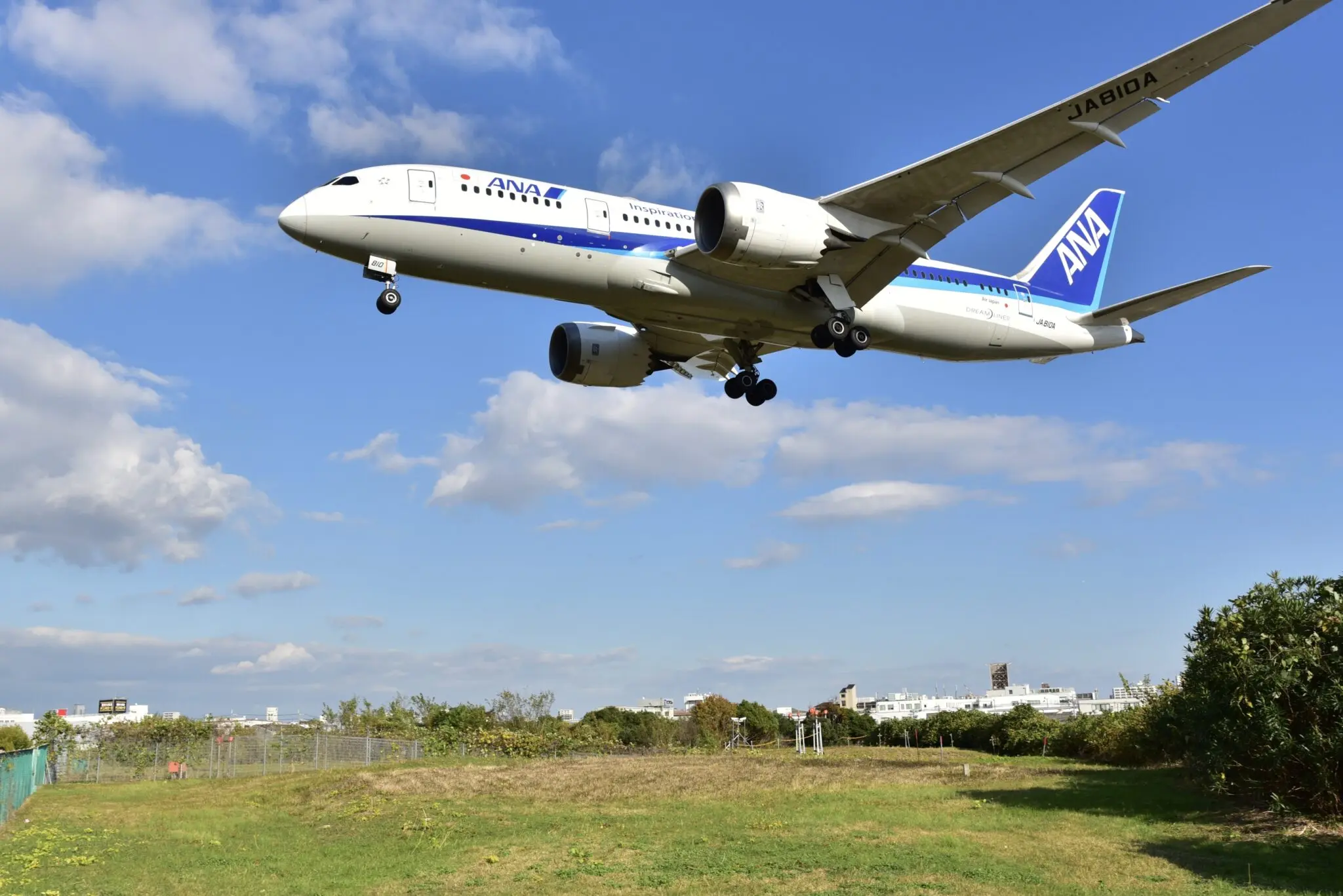 千里川土手で撮った飛行機