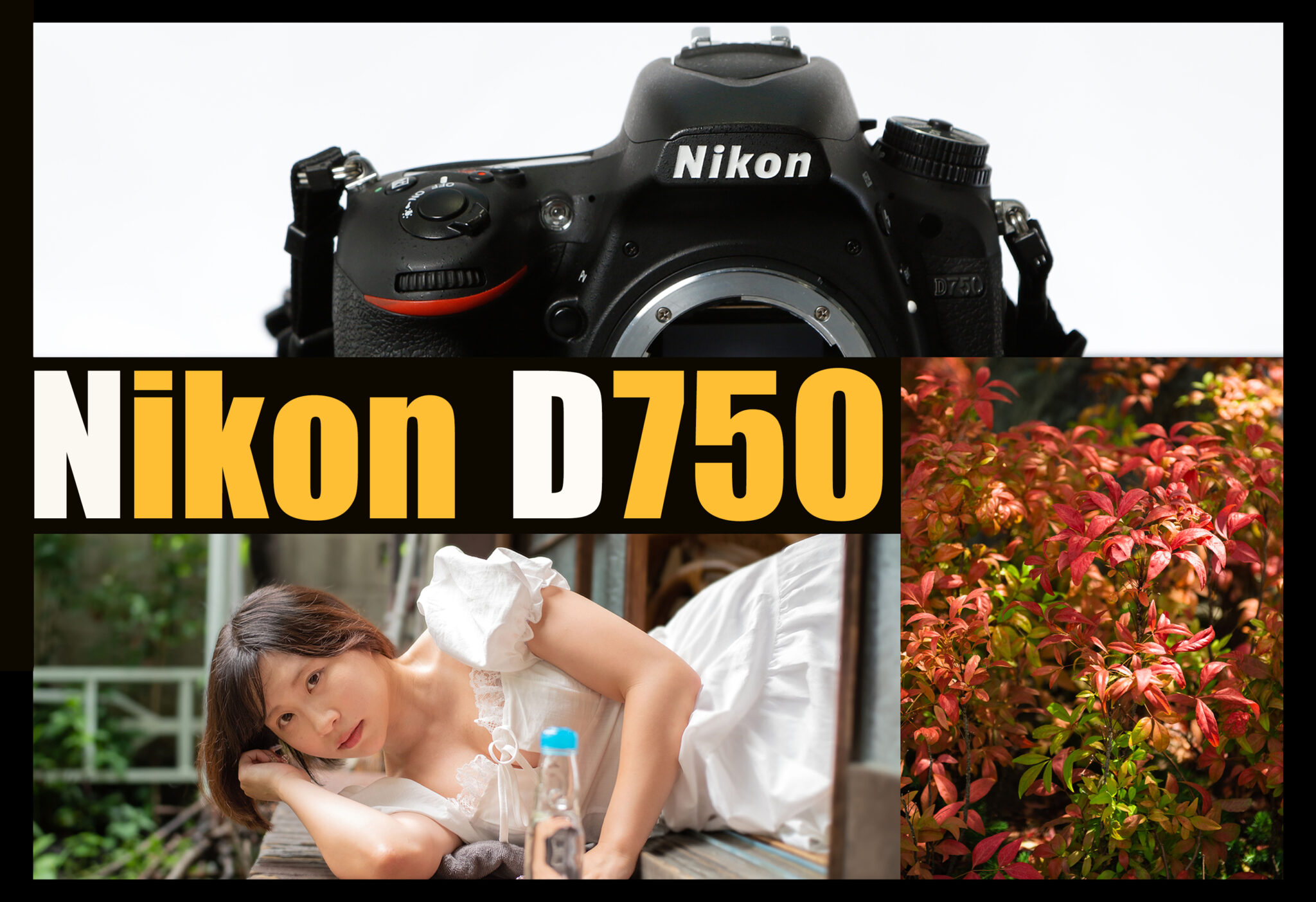 10万円以下でレンズも揃うフルサイズ機】 Nikon D750レビュー
