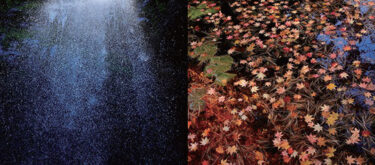 フォトイベントイメージ