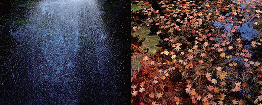 フォトイベントイメージ