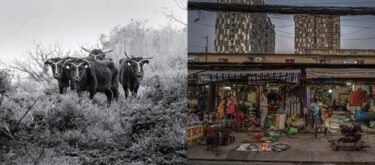 フォトイベントイメージ