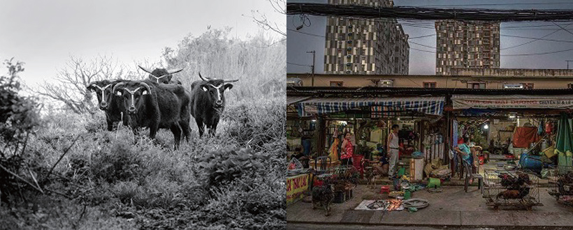 フォトイベントイメージ